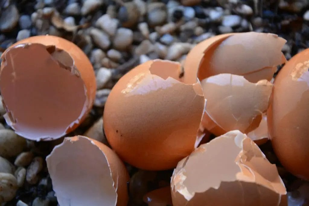 What's the best way to eat egg shells?