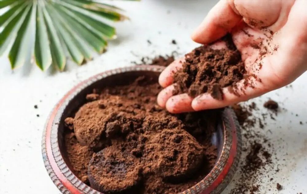 coffee's grounds are flushed down the sink