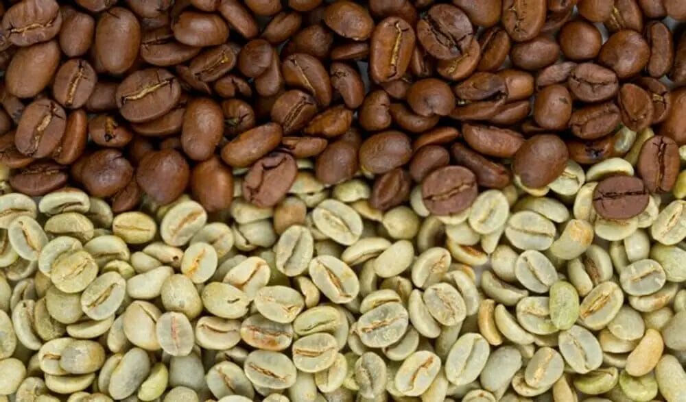 What are the 4 types of coffee beans?