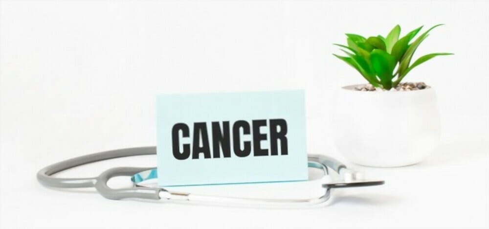What foods fight against cancer?