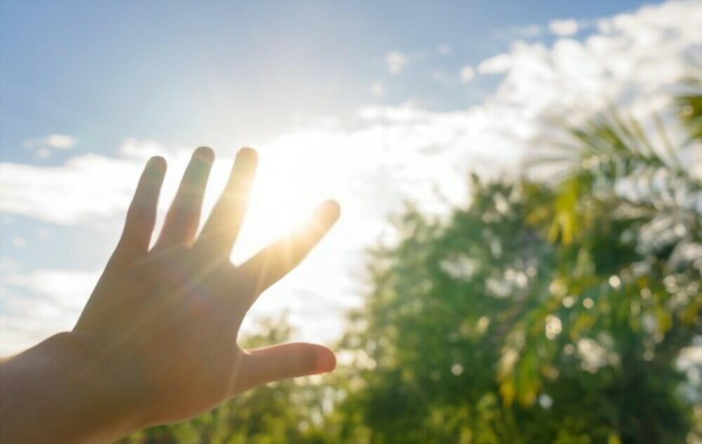 Drying used coffee grounds in the Sun: