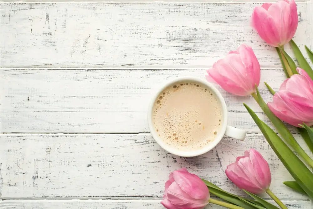 Flat White vs Latte Flat White vs Latte