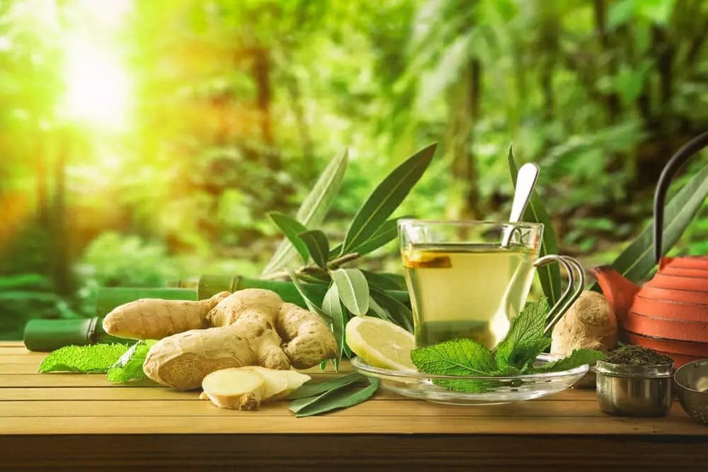 Green Tea1 Green Tea