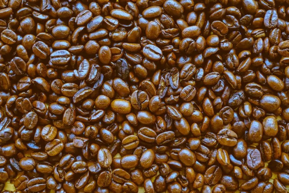 Honey Processed Coffee