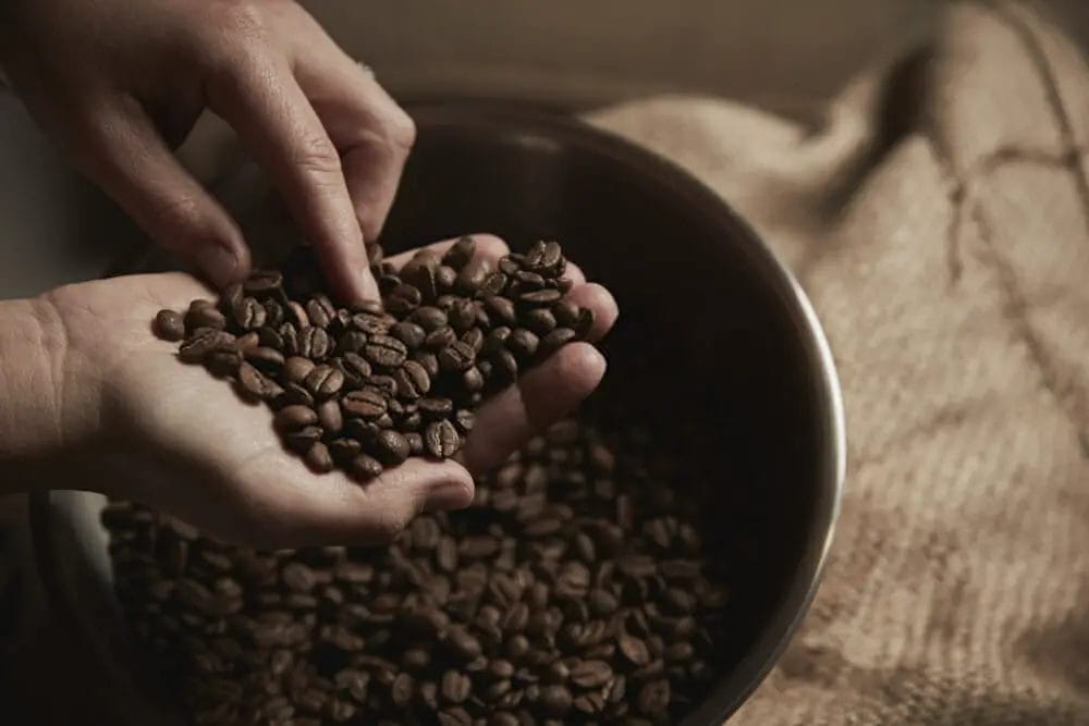 Coffee Fresh Coffee Fresh