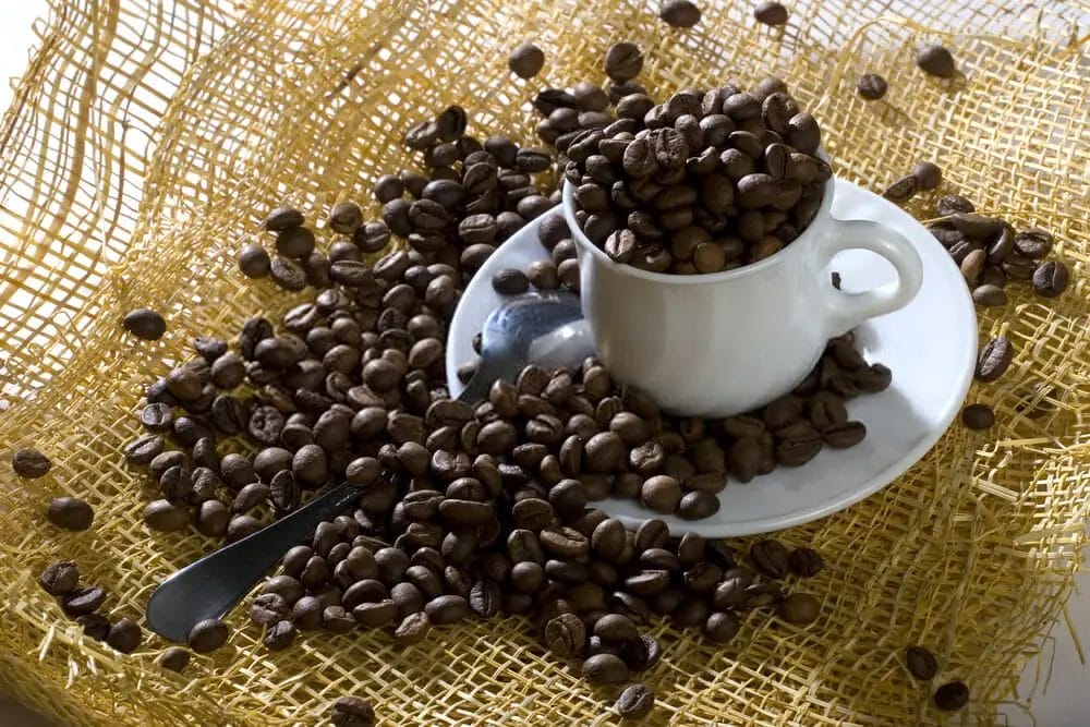 Can you use ground coffee in K cup?