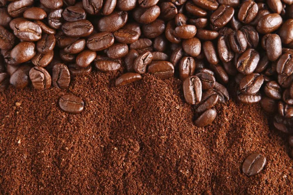 Can you buy espresso beans already ground?