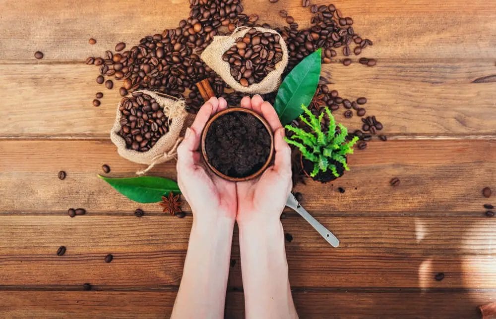How To Prevent Grounds In Your Coffee