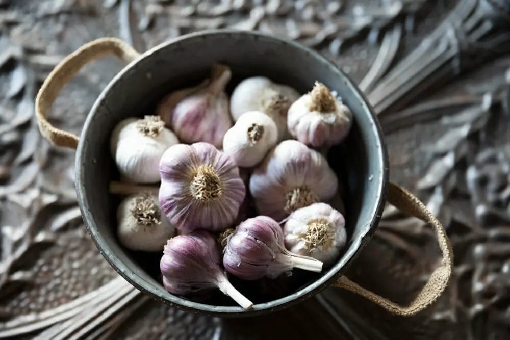 What does garlic do in the body?