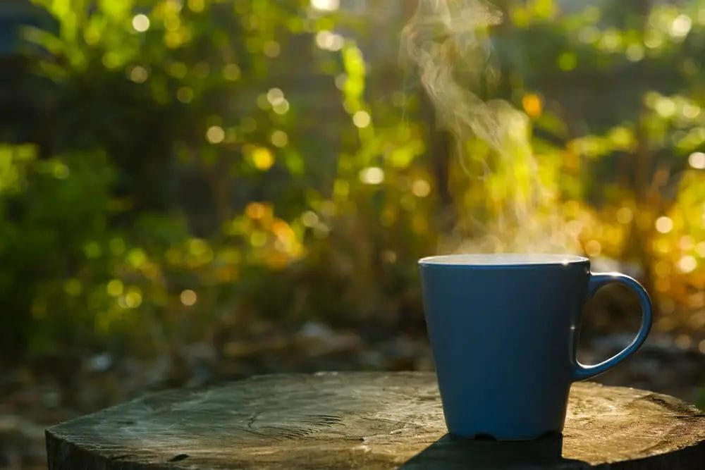 Put Hot Coffee In a Glass Cup Can You Put Hot Coffee In a Glass