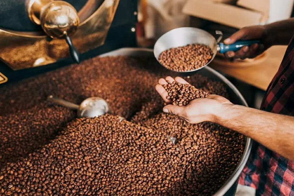 How important is fresh roasted coffee beans?