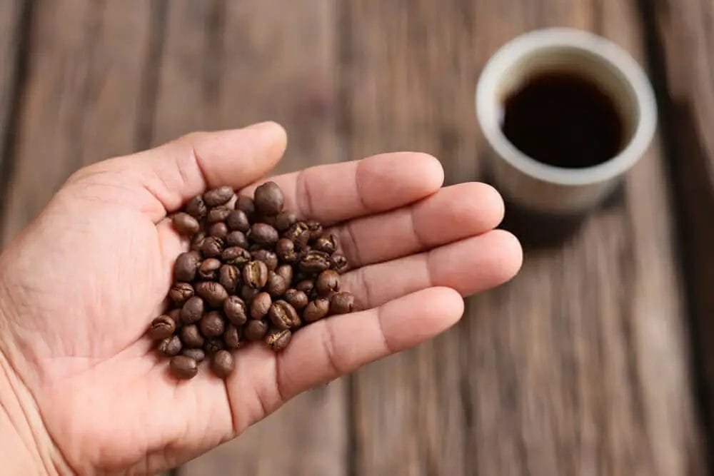 Are peaberry coffee beans good?