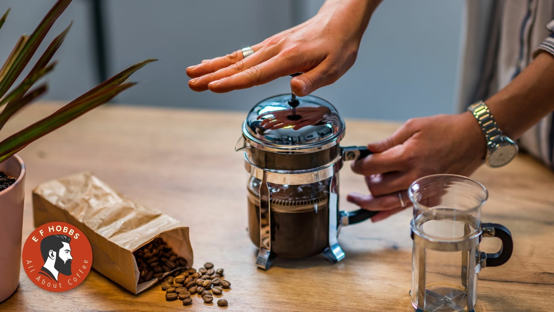 Water Be For French Press