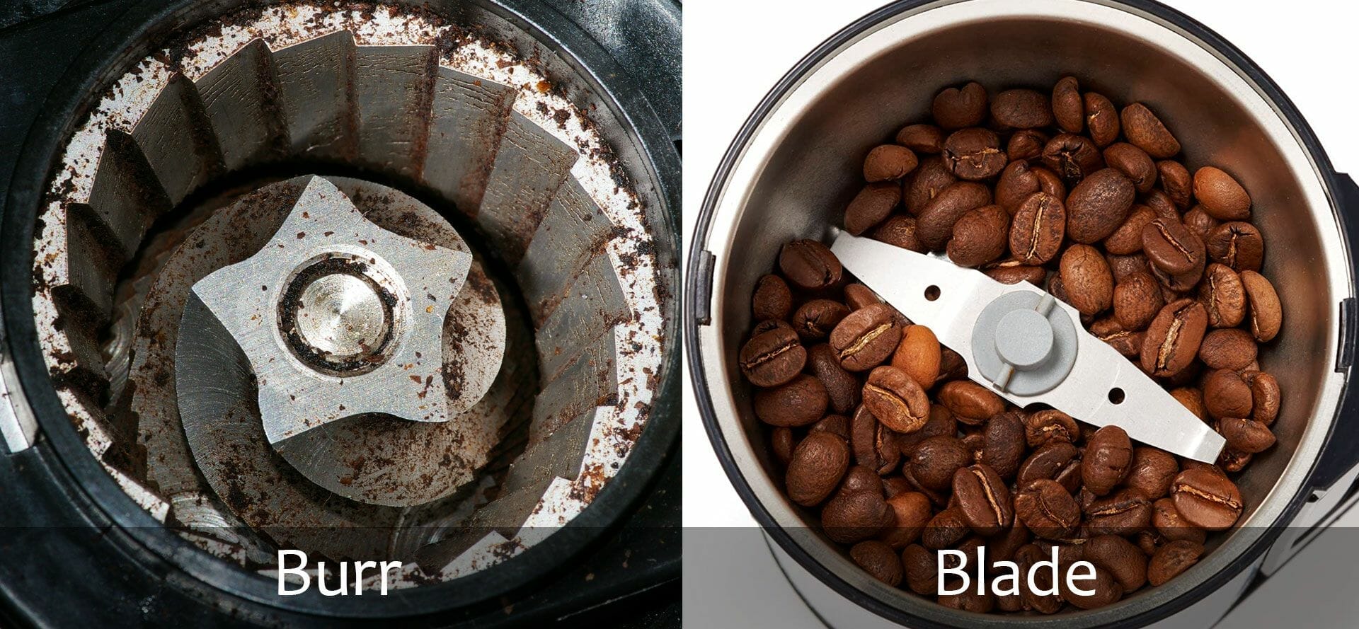 Burr Grinder VS Blade Grinders